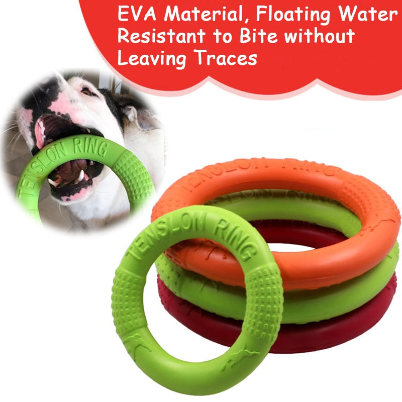 Interaktives EVA Dogs-Training